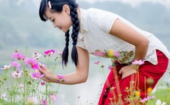 张柏芝的不雅图片